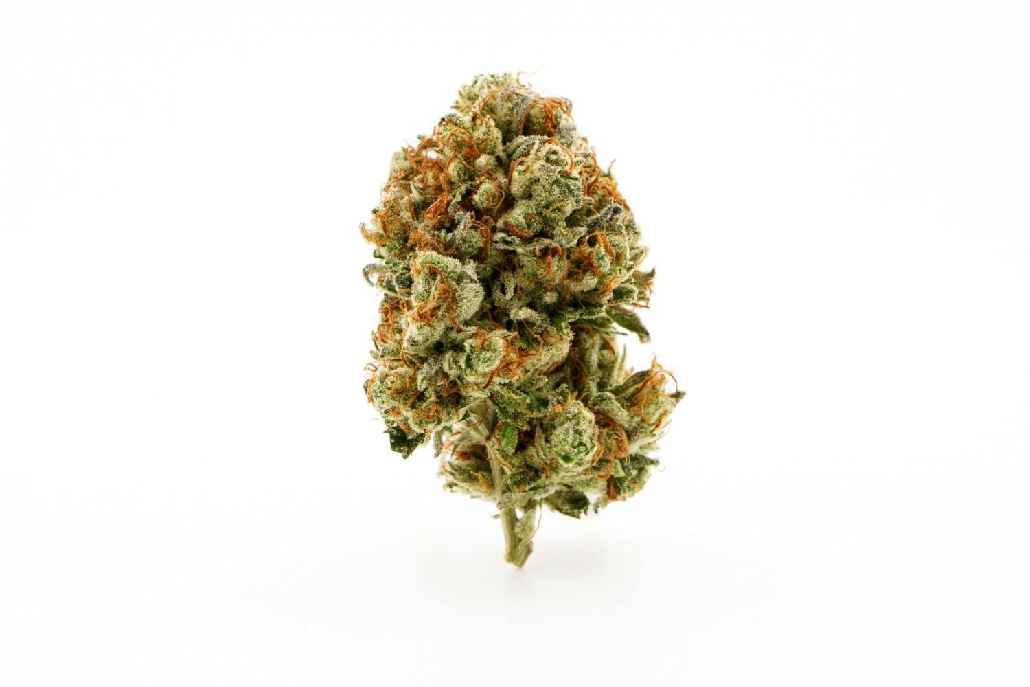 Photograph of product: DEEP DARK BLUEBERRY | 3.5G