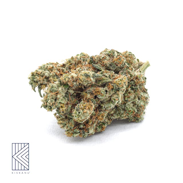 Photograph of product: Mango Mintality Indoor (1/2oz) - Mango Mintality Premium Indoor 1/2oz