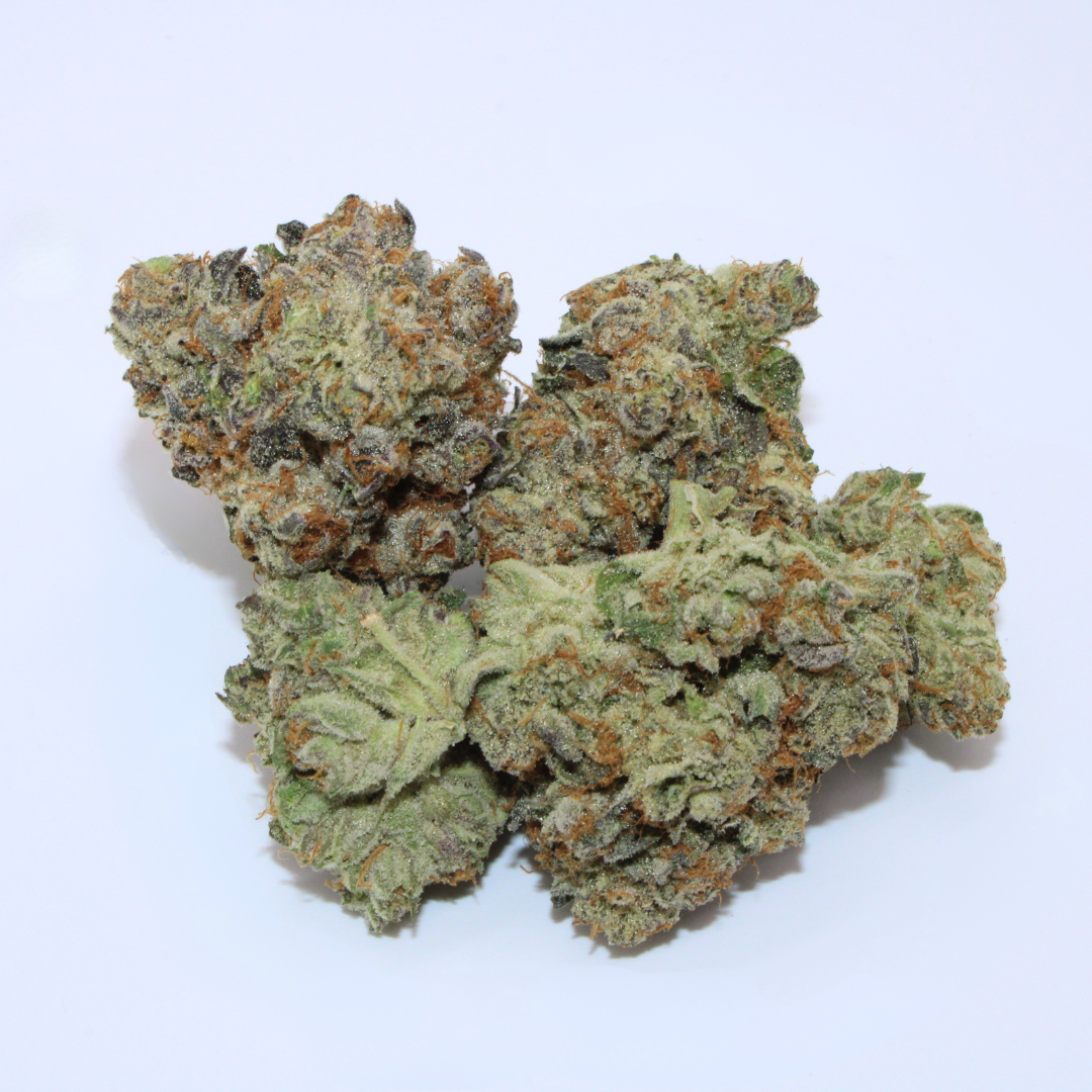 Photograph of product: Glorious - Deli - Summer Snow - 2g