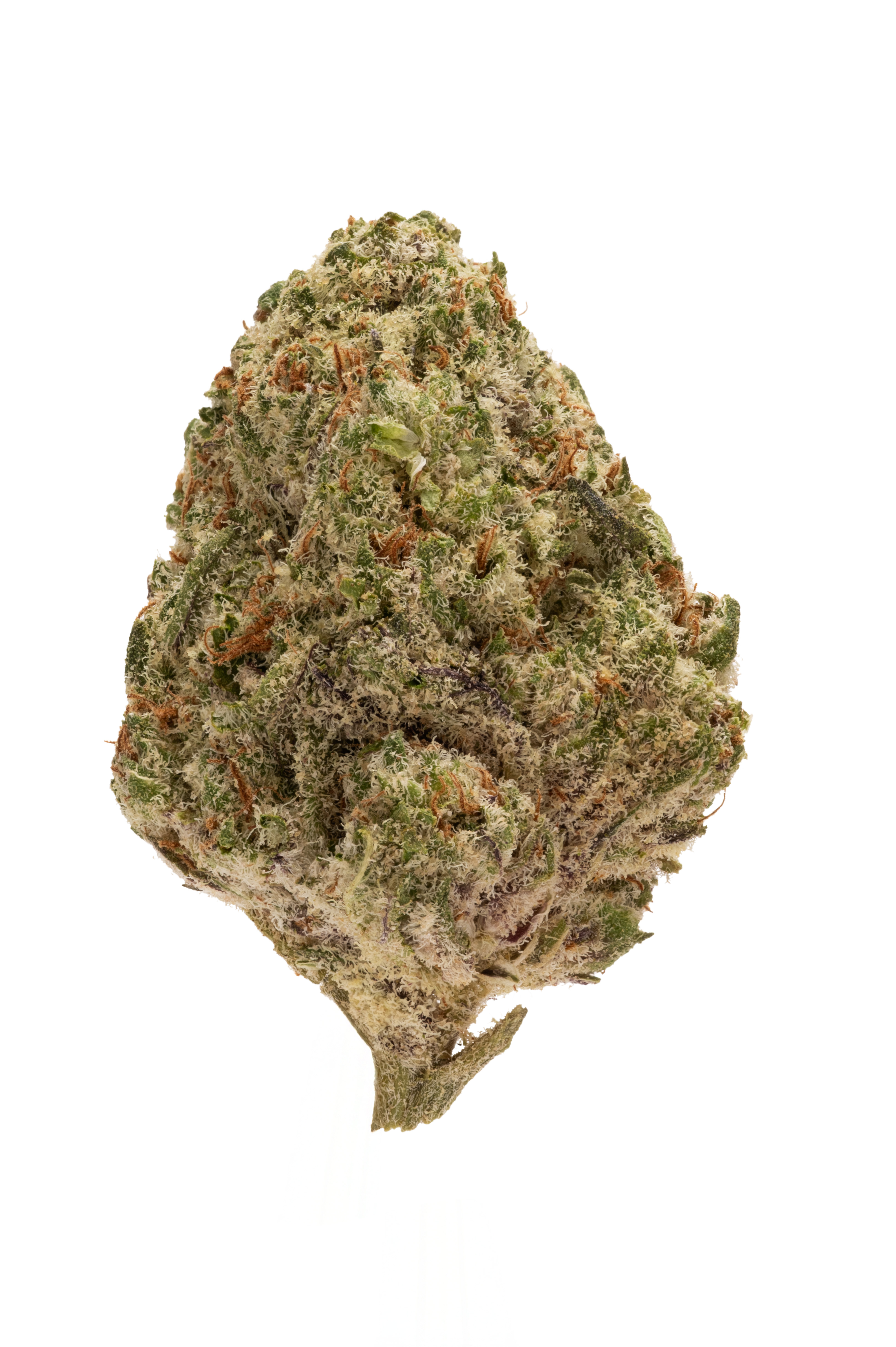 Photograph of product: Black Ice (IH) - Flower - 3.5g