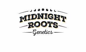 Photograph of product: Full Moon - Strawberry Milkshake Chocolate Coin - 200mg