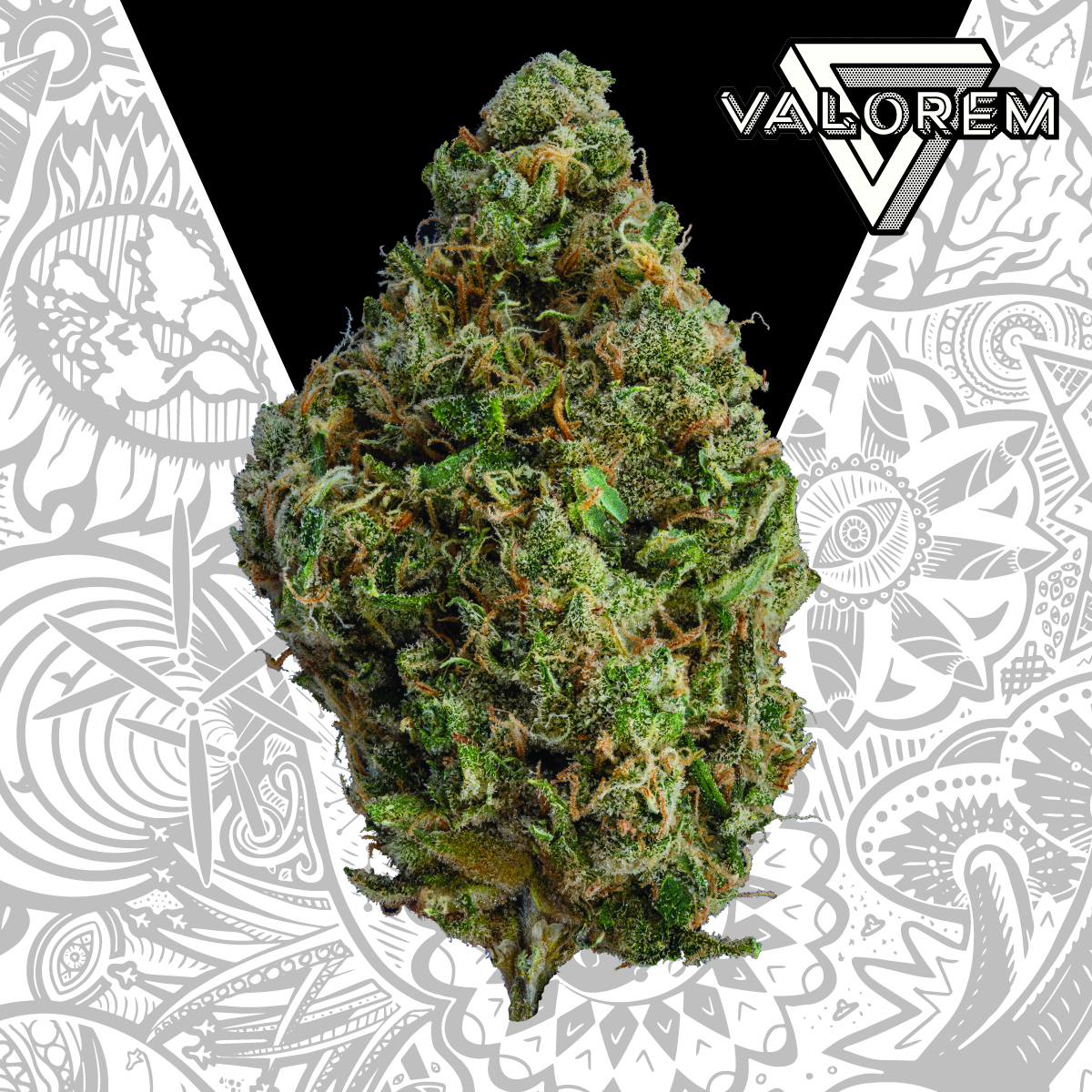 Photograph of product: Durban Poison Preroll