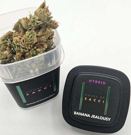 Photograph of product: Sacci: Banana Jealousy - 3.5g
