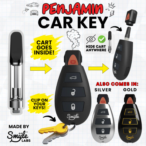 Photograph of product: PENJAMIN - CAR KEY BATTERY
