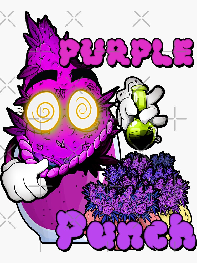 Photograph of product: Glenna's & Co Purple Punch 3.5g