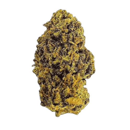 Photograph of product: Hustler's Ambition | Canoli Kush (H) - 3.5g
