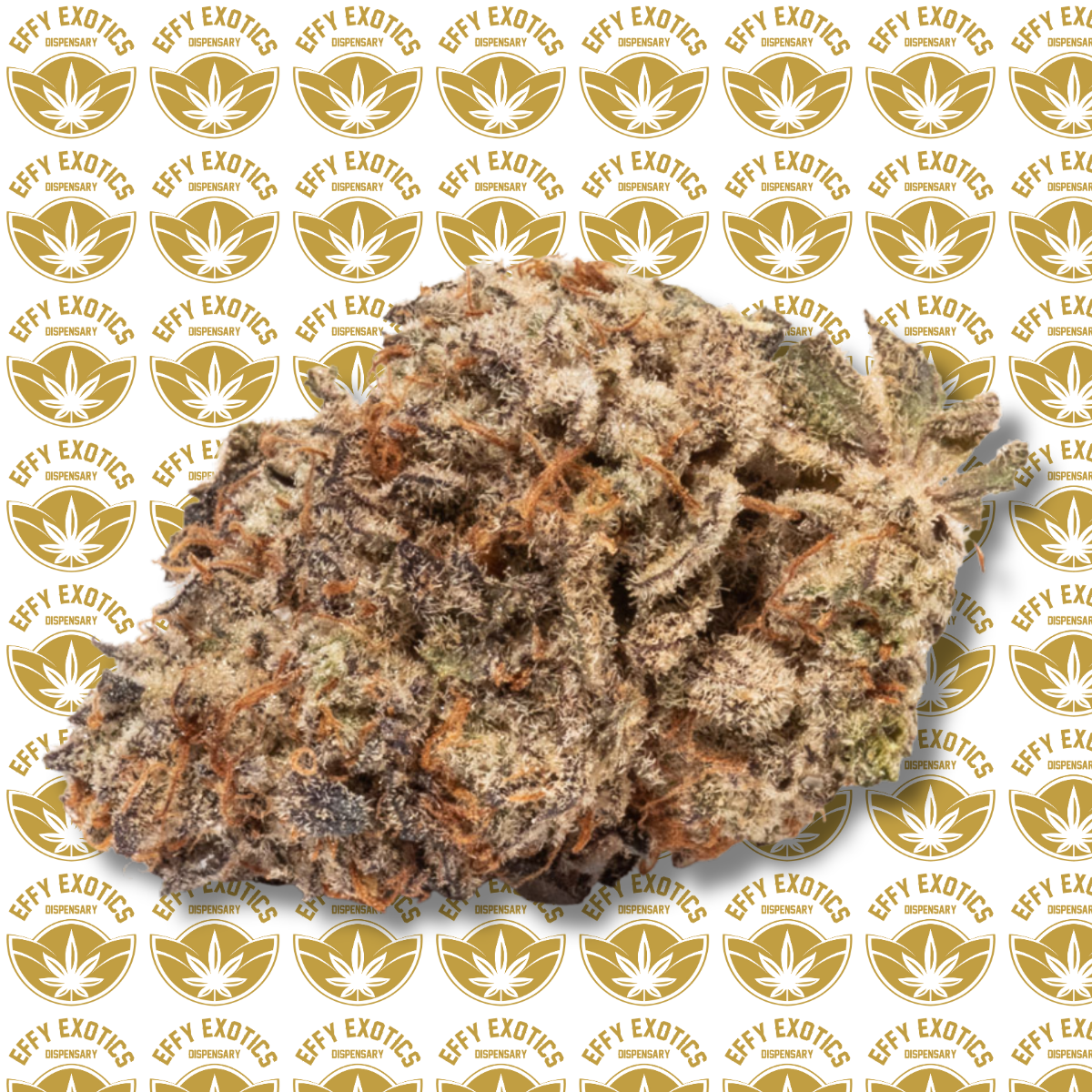 Photograph of product: TK41- 24.80%  HYBRID - 1g