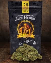 Photograph of product: Select | Blueberry Haze | 3.5g - 