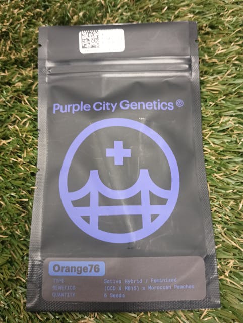 Photograph of product: ORANGE76 6PK FEMINIZED SEEDS - 