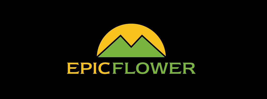 Photograph of product: EPIC FLOWER - PREROLL - 56PK - 28G - Oui'd / Oui'd - SIN CITY x VIVA LAS VEGAS