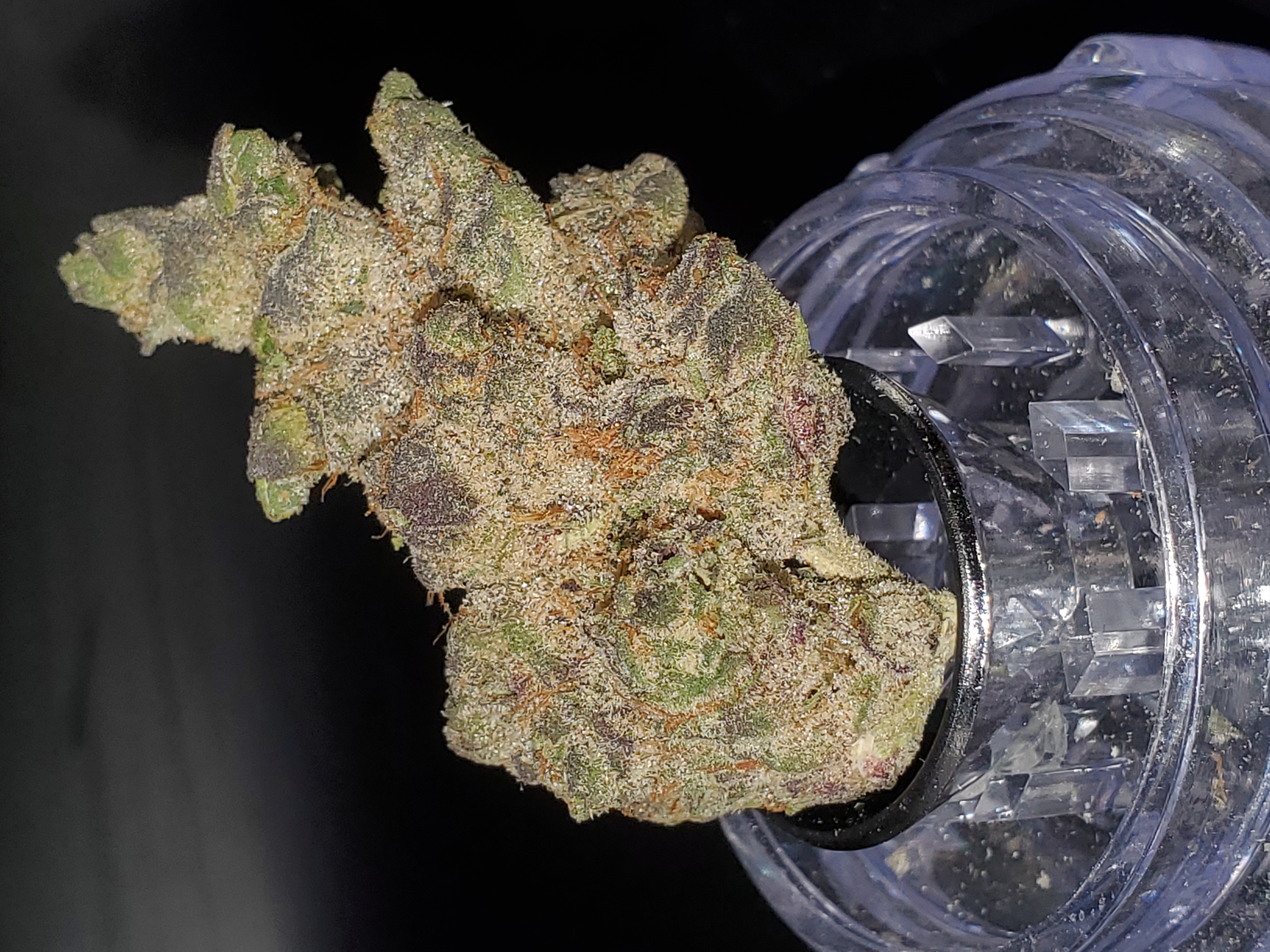 Photograph of product: Top Shelf - Toasted Strudel (S) - 28g