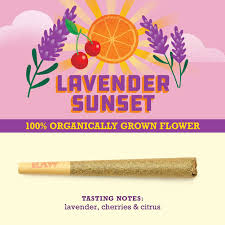 Photograph of product: Lavender Cake | Living Soil Grown | Single Pre-Roll | 1g