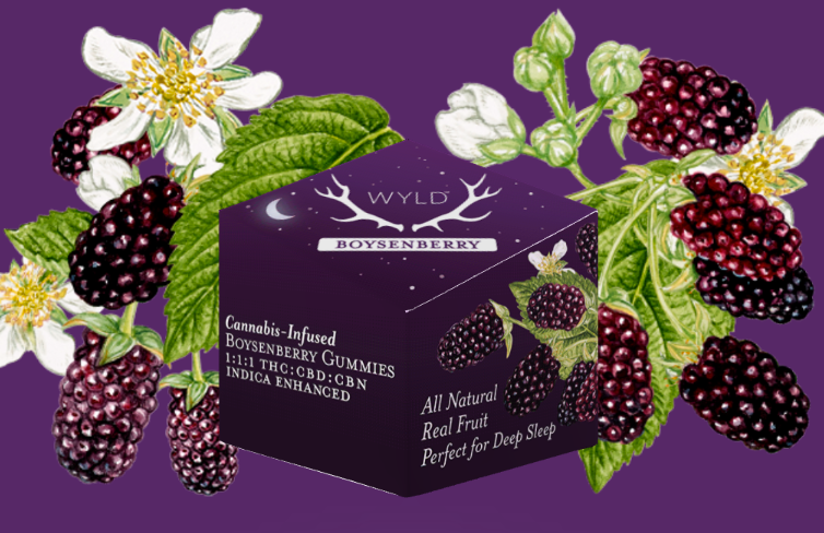 Photograph of product: Wyld Gummies Boysenberry 10mg TH-oui:10mg CBN: 10mg CBD 10 Pack