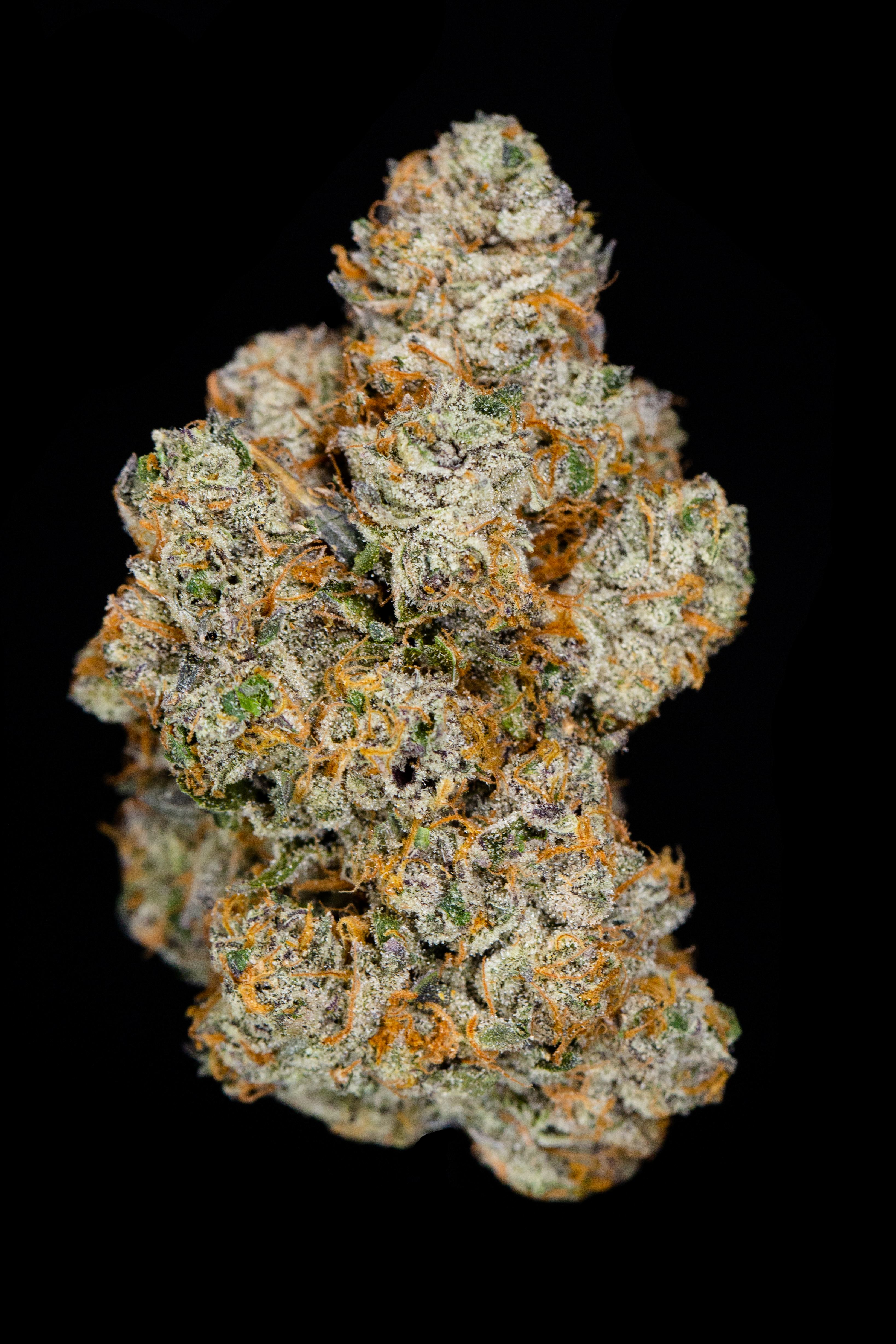 Photograph of product: Hellcat (Gold) - 28g