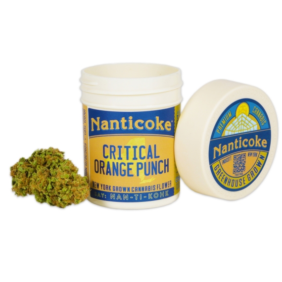 Photograph of product: NANTICOKE | CRITICAL ORANGE PUNCH | 3.5G