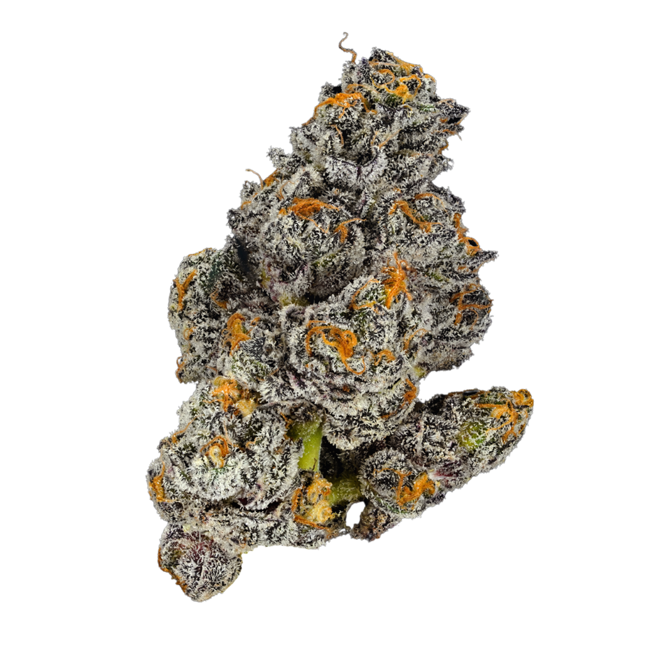 Photograph of product: BTY OG | PREPACK FLOWER - 3.5g