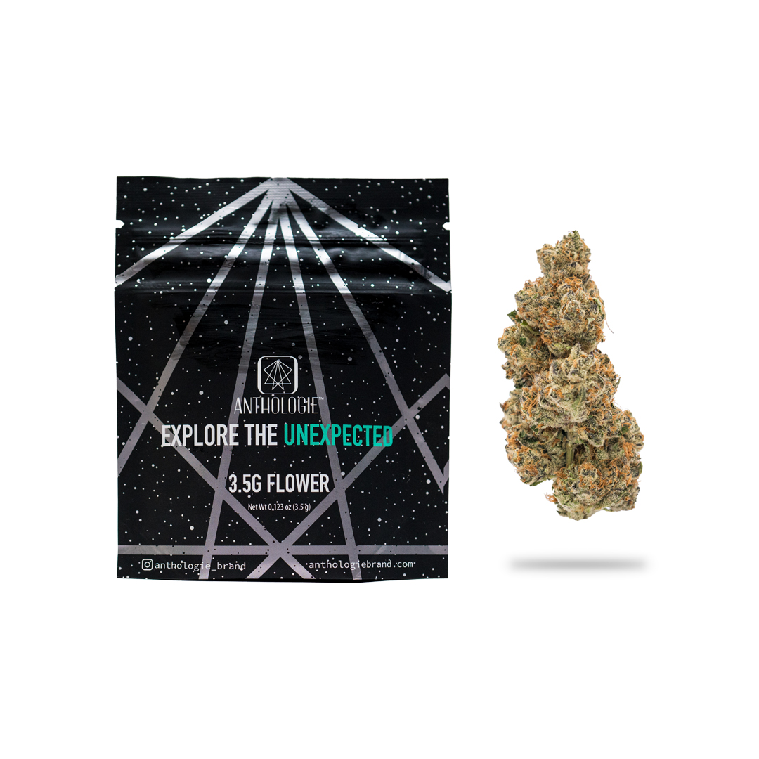 Photograph of product: Anthologie | Wookie Pie (I-H) Flower | 3.5g