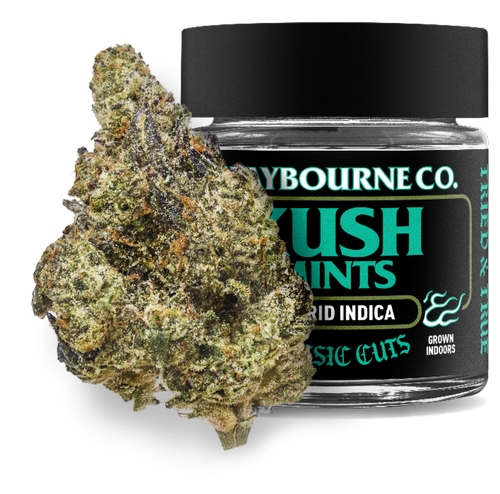 Photograph of product: CLAYBOURNE - Flower - Kush Mints - Classic Cuts - 3.5G