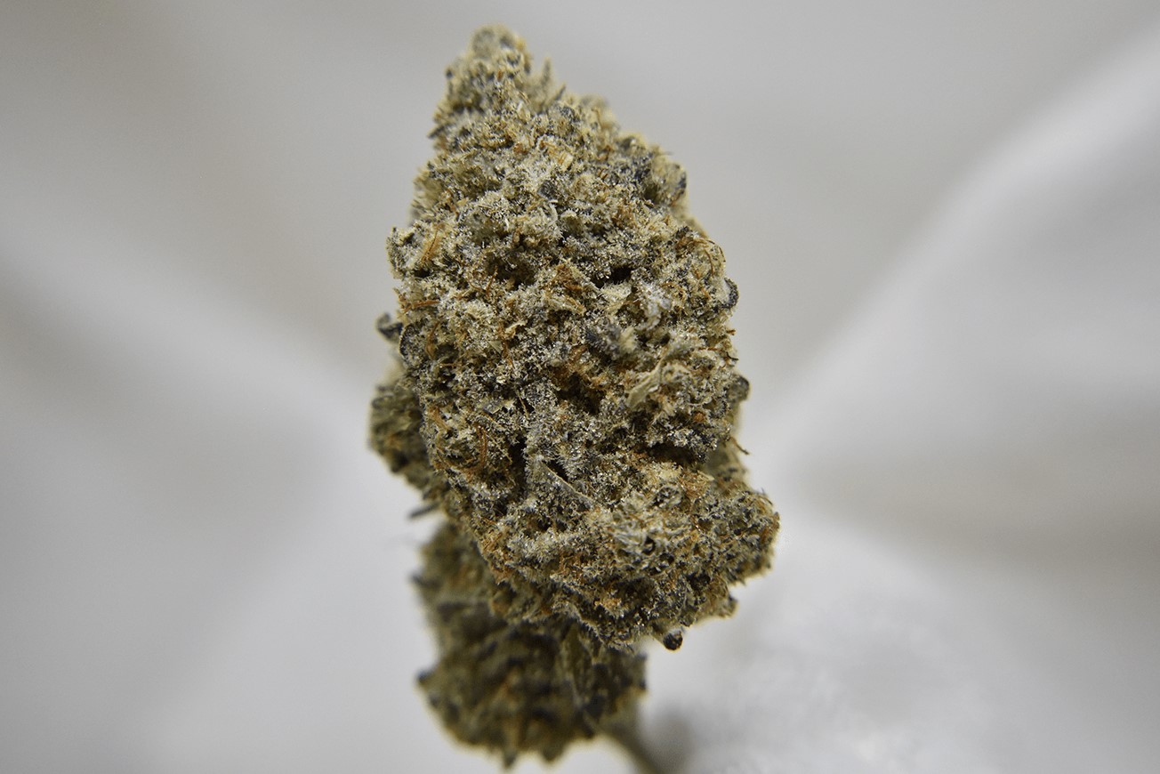Photograph of product: Pineapple Donut - Popcorn - Hybrid - 7g