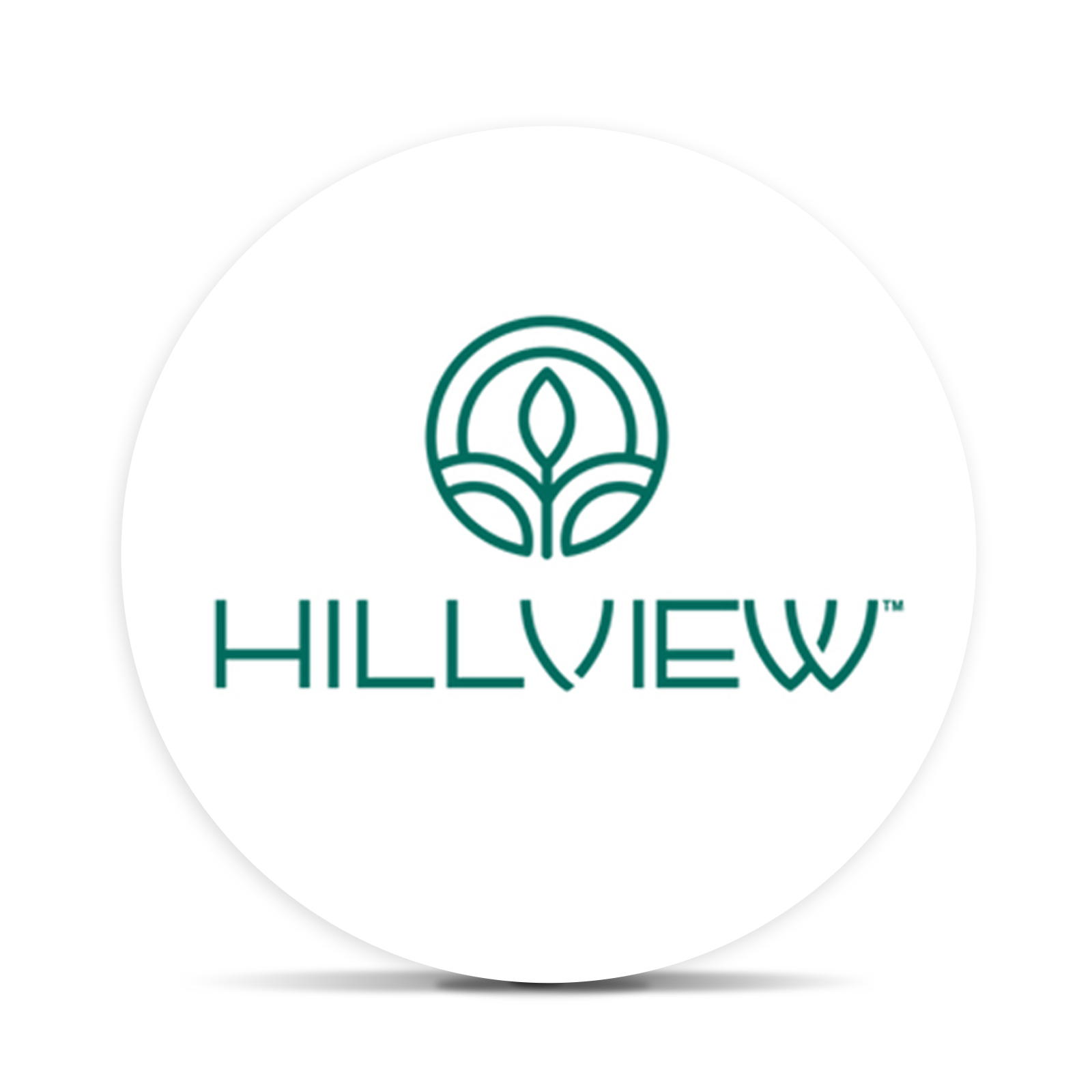 Logo for img-fluid: Hillview