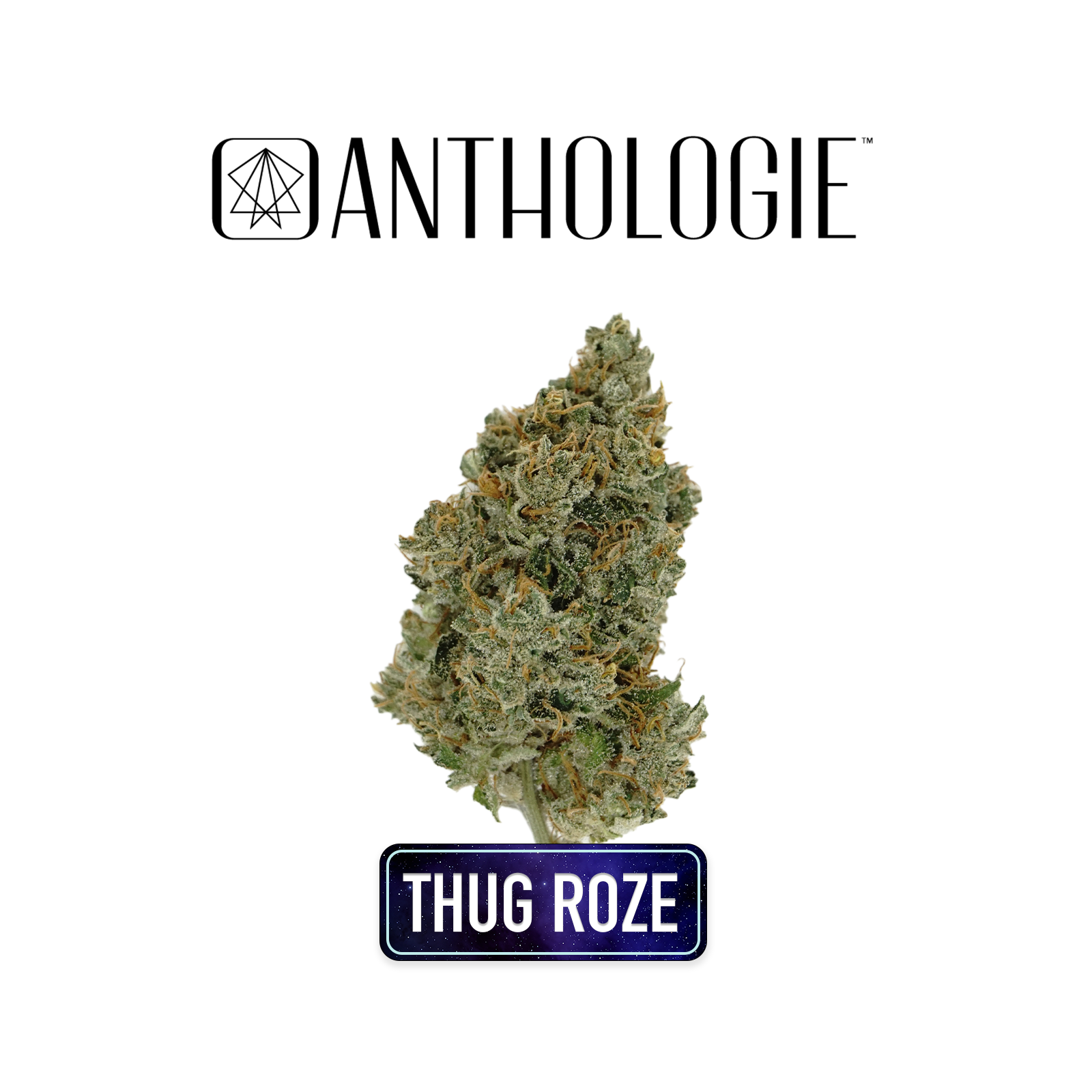 Photograph of product: Thug Roze Buds | 3.5g