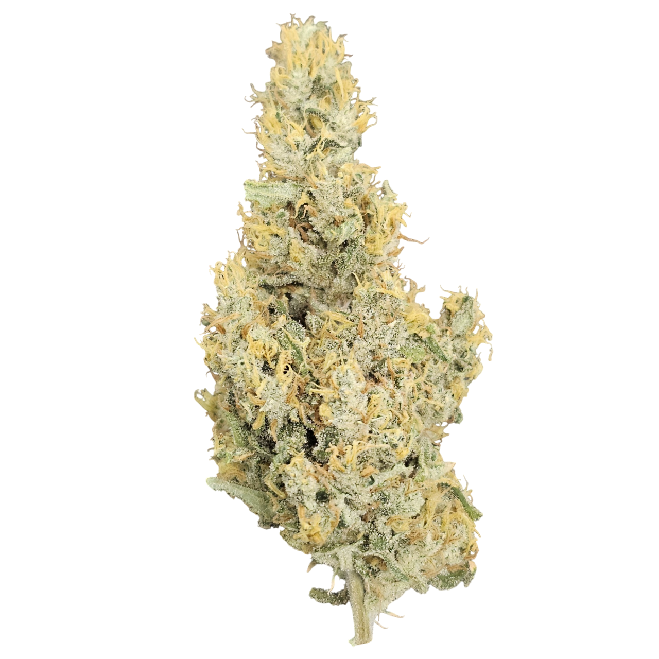 Photograph of product: DR. JC's Exotics Hippo High Buds - 28g