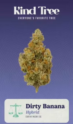 Photograph of product: Dirty Banana | Flower | 3.5g | Oui'd