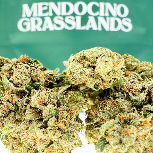 Photograph of product: Legend OG - 