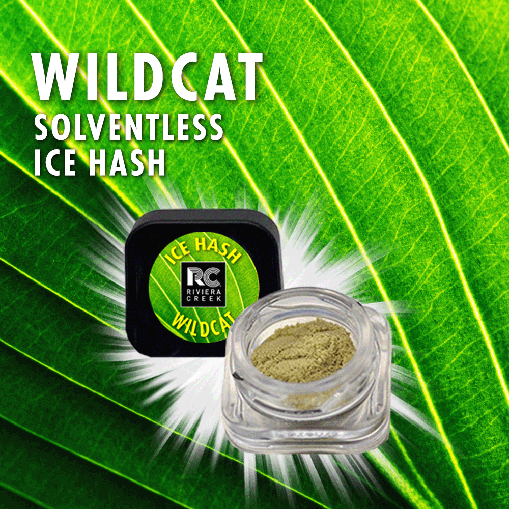 Photograph of product: Riviera Creek - Ice au chocolat - Wild Cat (S) - 0.5g