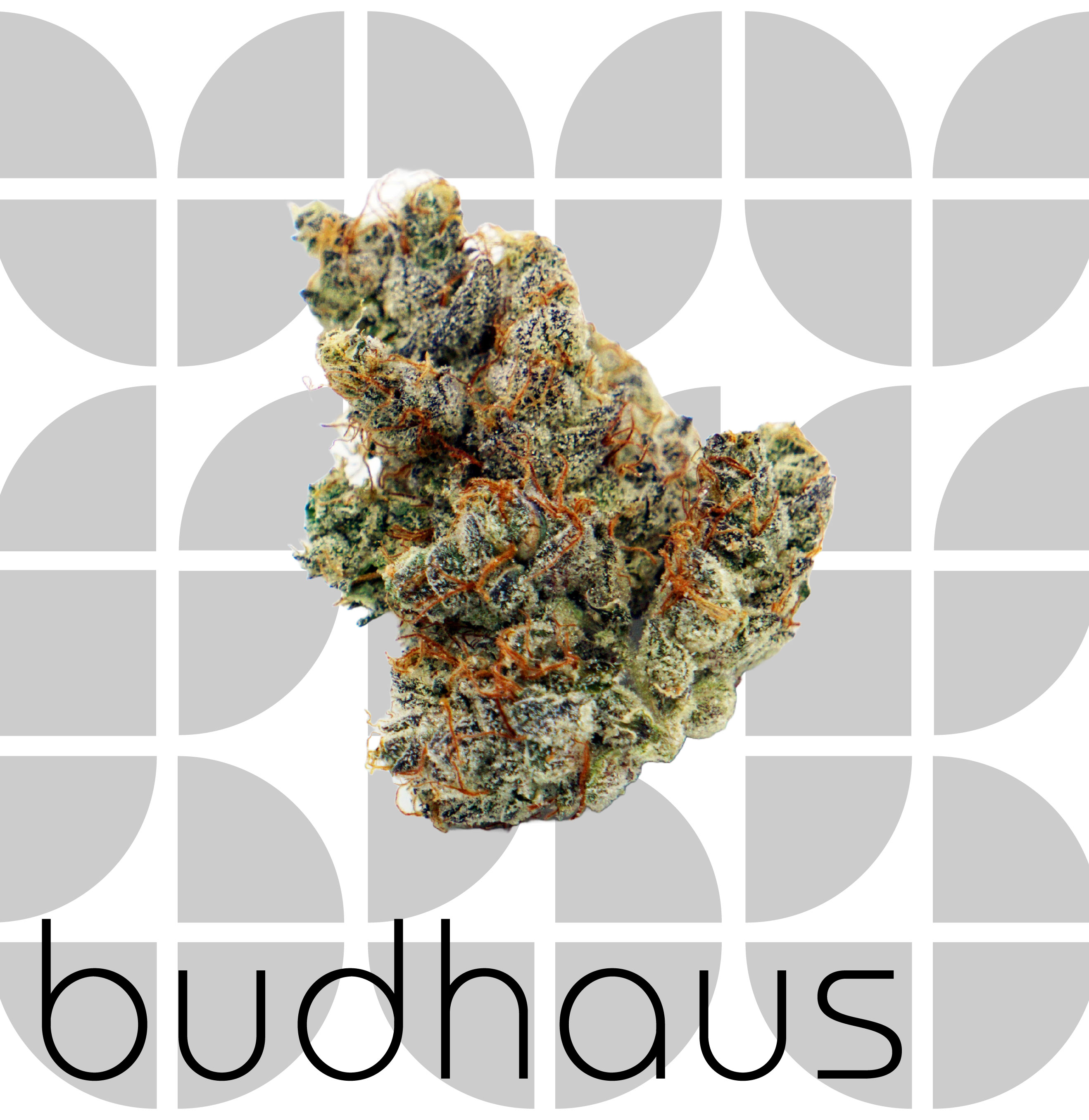 Photograph of product: GMO Cookies - 1 Ounce - 28g