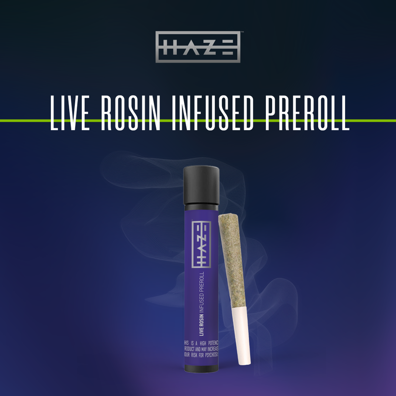 Photograph of product: Haze Hazelnut (S) x Temptation F3 (I) Live Rosin Infused Pre-Roll 1g