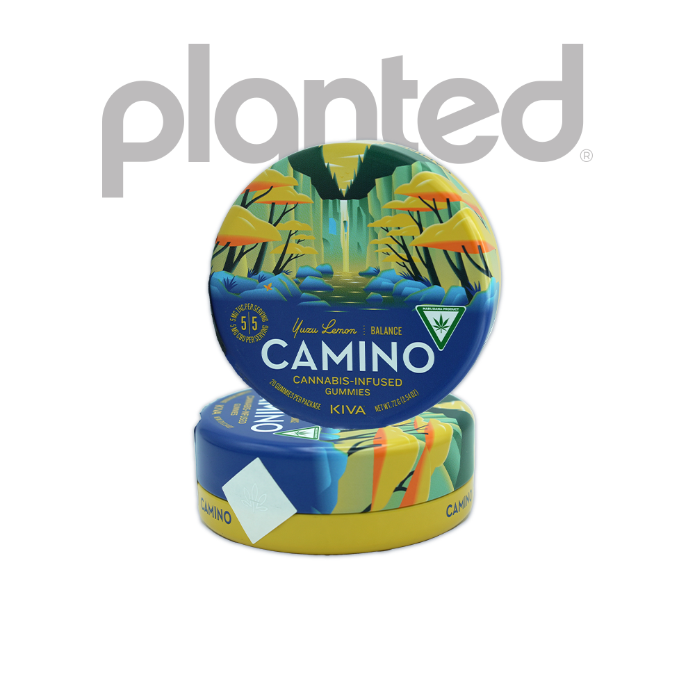 Photograph of product: CAMINO | YUZU LEMON | GUMMIES | 100MG:100MG | REC