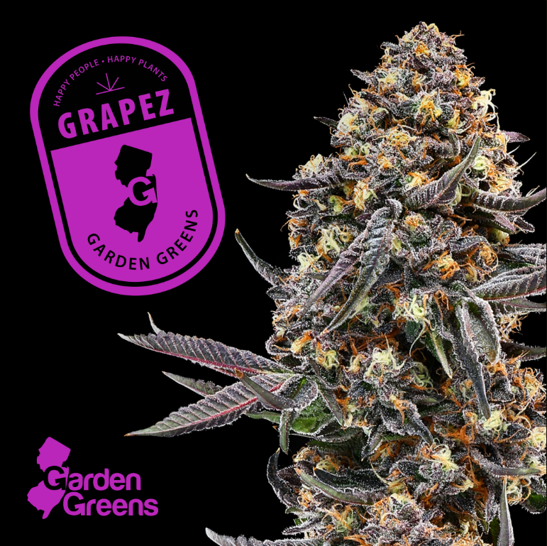 Photograph of product: Garden Greens | Grapez | Prerolls 5pk