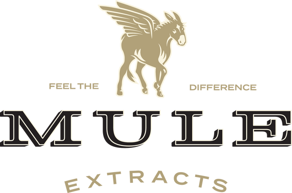 Photograph of product: Muleshine The Quad 4 x Syrup
