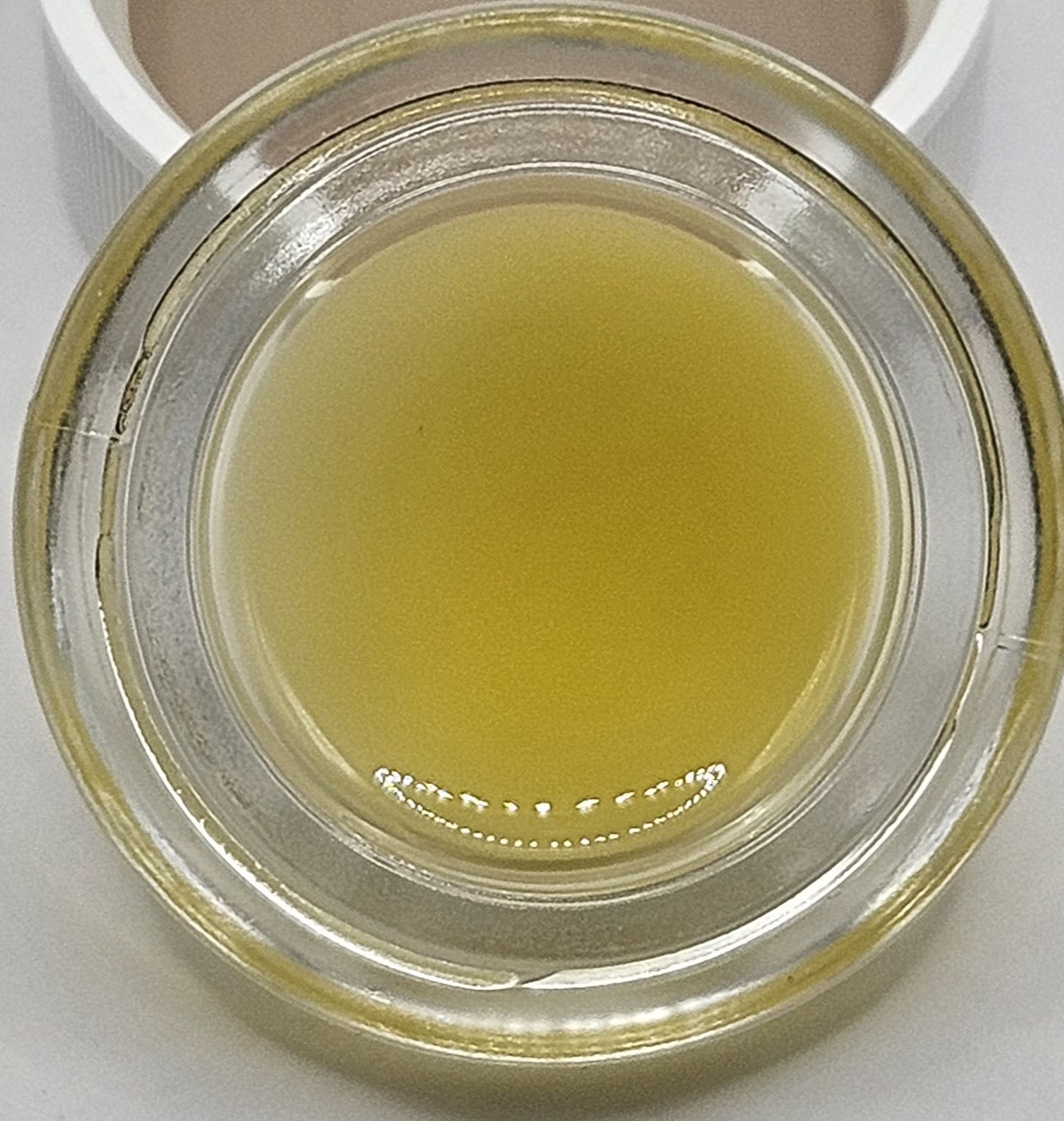 Photograph of product: Echo Electuary - Vermont Diesel Live Budder