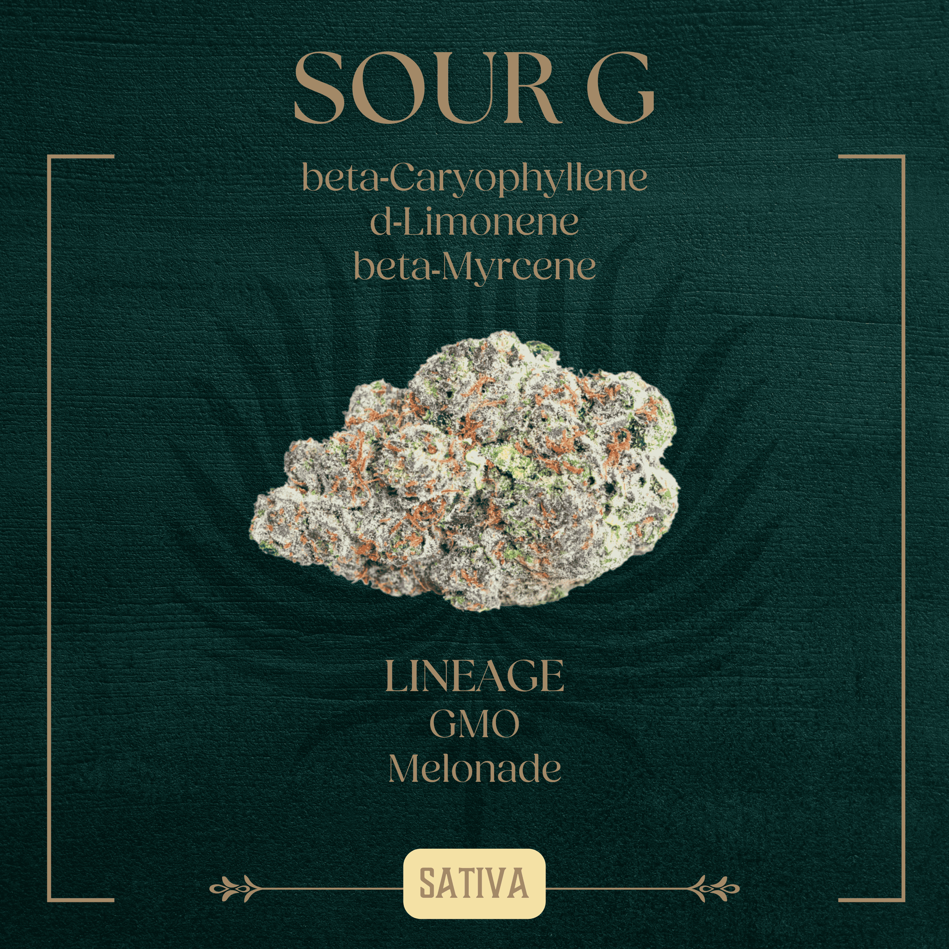 Photograph of product: Sour G 3.5g - Oui'd Hybrid - Peak