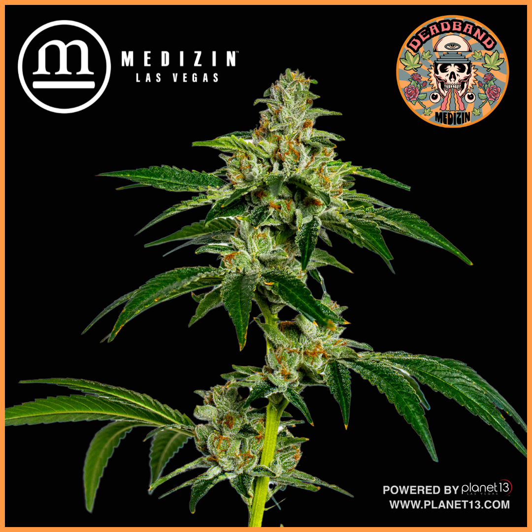 Photograph of product: Medizin DeadBand 3.5g Prepack