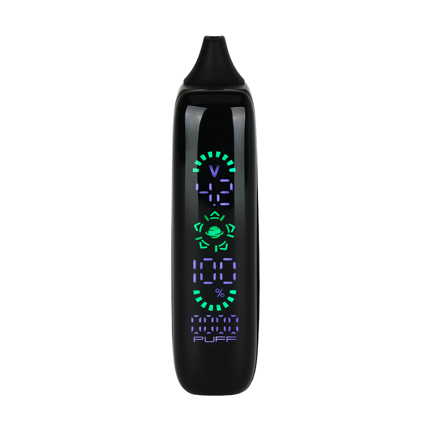 Photograph of product: Pulsar 510 DL 5.0 Precision Control LCD Screen Vape Bar | 1000mAh