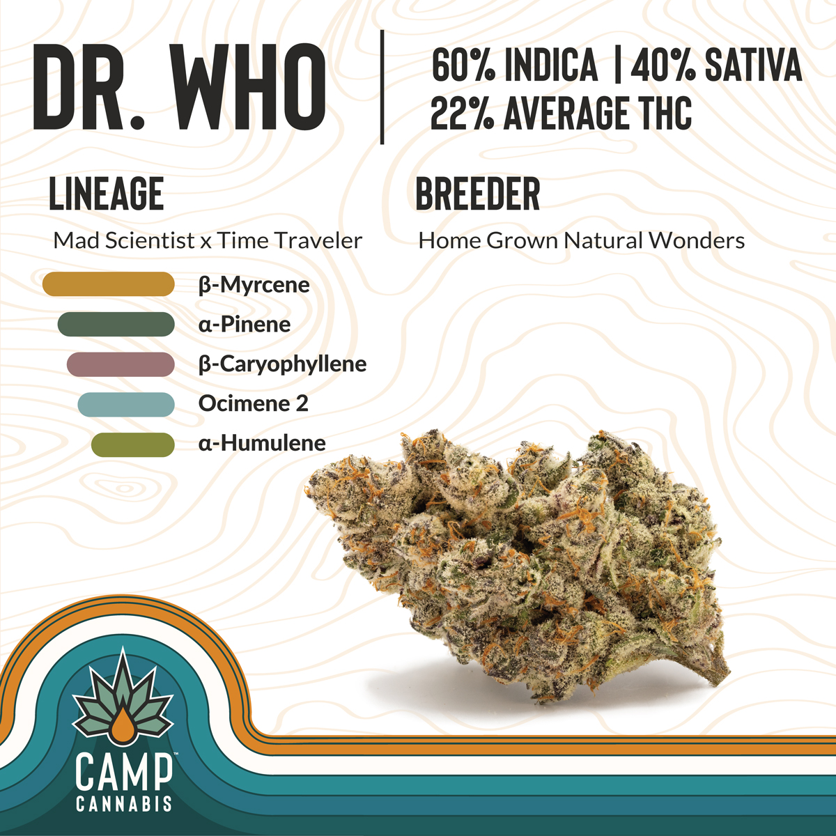 Photograph of product: CAMP - DR. Who - 3.5g