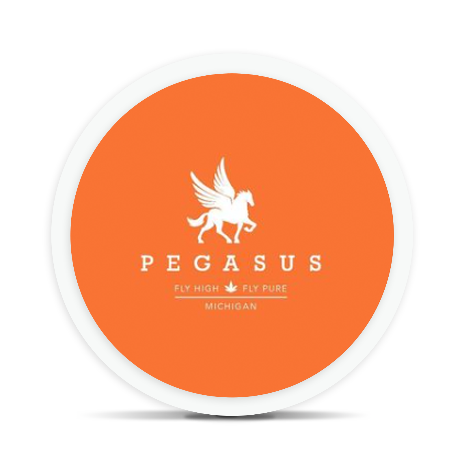Logo for img-fluid: Pegasus