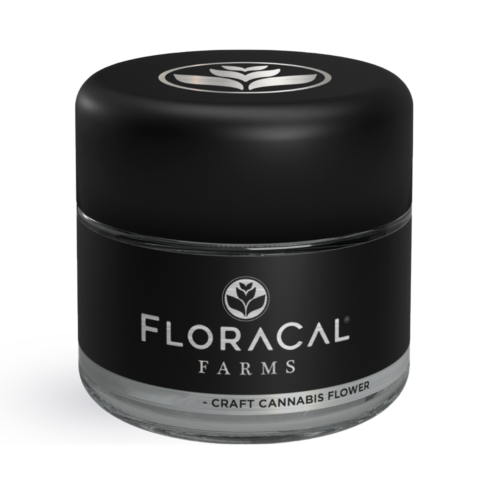 Photograph of product: FLORACAL Purple Churro 3.5g