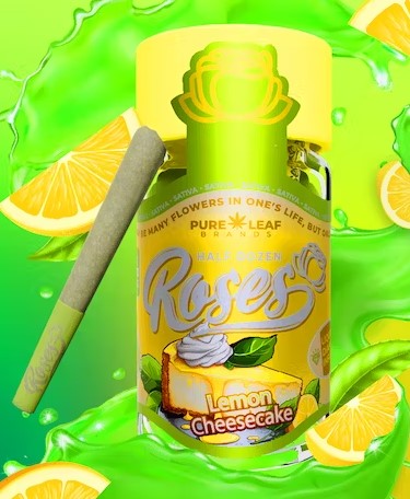 Photograph of product: PR | Lemon Cheesecake | 3.6g | 0.6g x 6 Pack | Infused | Roses
