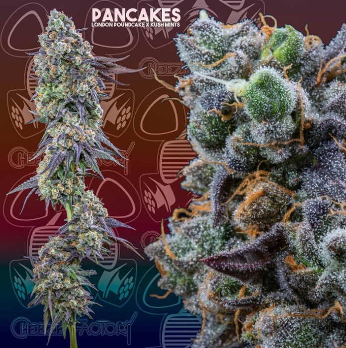 Photograph of product: Pancakes - 28g