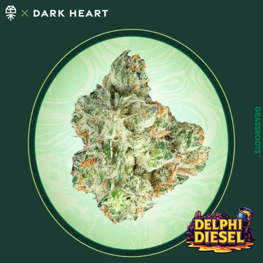 Photograph of product: Dark Heart Delphi Diesel Smalls | 7g