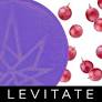 Photograph of product: Levitate Grape Orbit Bites 200mg