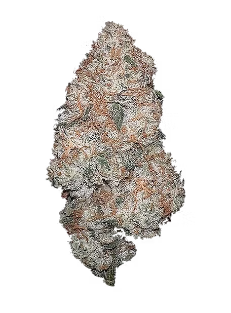 Photograph of product: Blueberry Headband | TAX INCLUDED - 28g