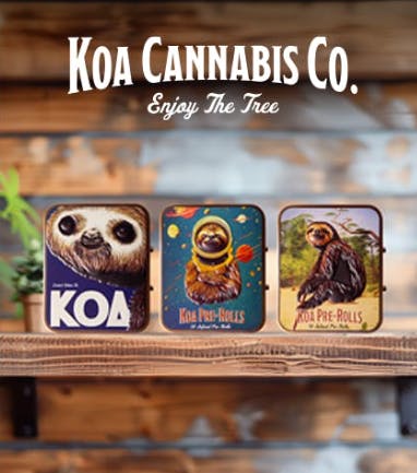 Photograph of product: Shogun 2pk - 