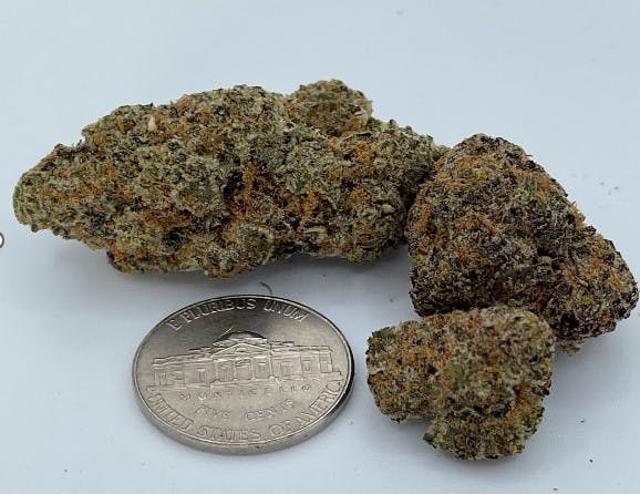 Photograph of product: High Ledges Oui'd | Wedding Cake 3.5g Flower