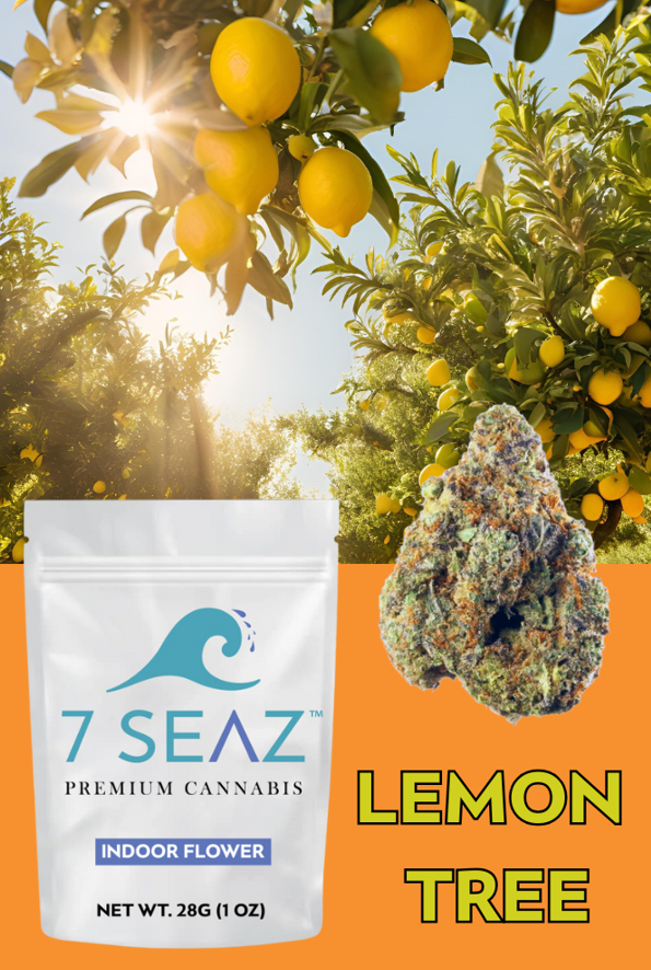 Photograph of Product: Lemon Tree Flower | Hybrid | 7 Seaz - 28g