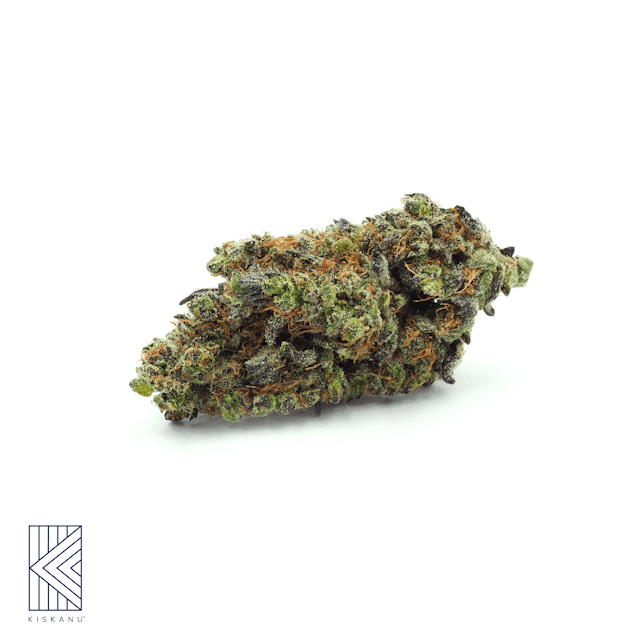 Photograph of product: Government Oasis Select (1/2oz) - Government Oasis Select 1/2oz